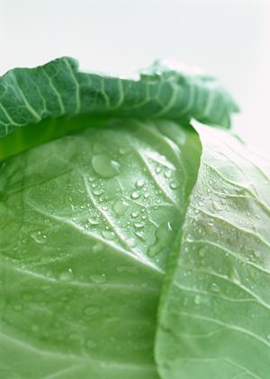 居酒家 土間土間 八重洲店: 東京駅近くの憩いの場